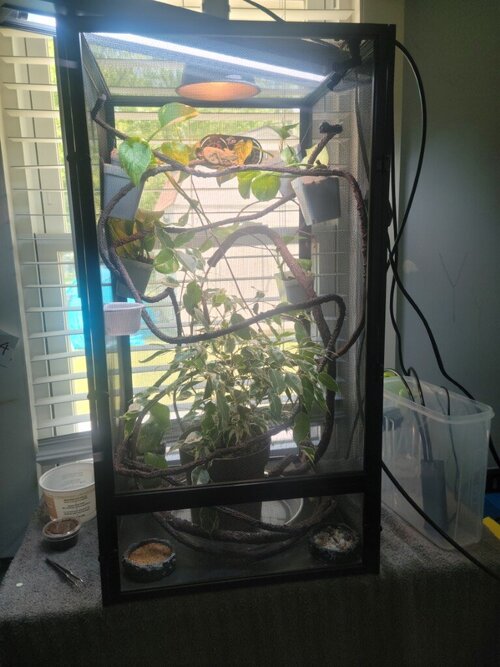 20230514_123739 (Medium).jpg