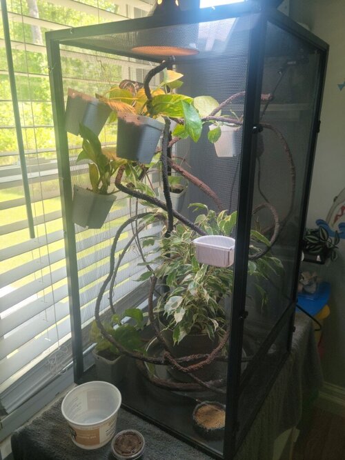 20230514_123745 (Medium).jpg