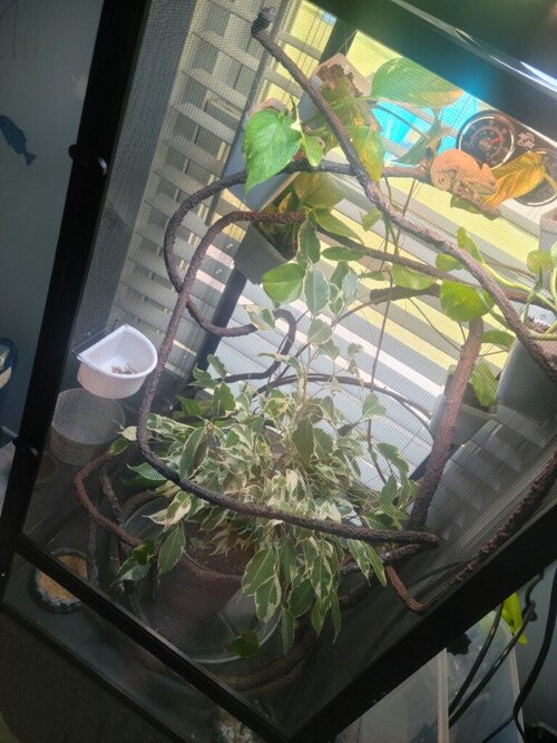 20230514_123807 (Medium).jpg