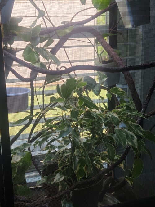 20230514_150608 (Medium).jpg