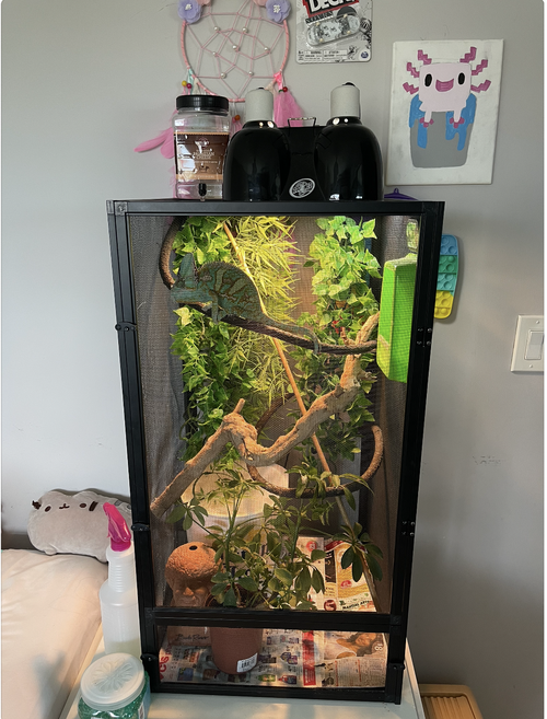 Screenshot 2023-05-16 at 5.17.42 PM.png