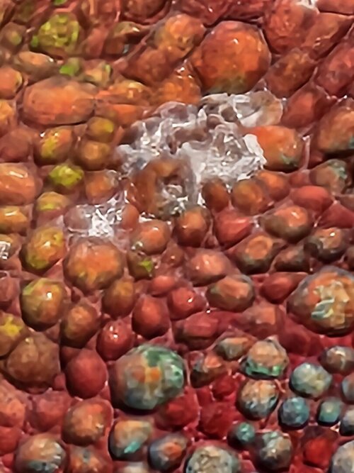 20230519_161437.jpg