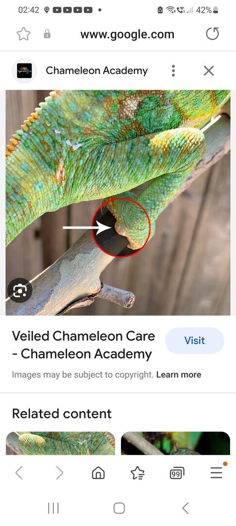 Screenshot_20230521_024229_Samsung Internet.jpg