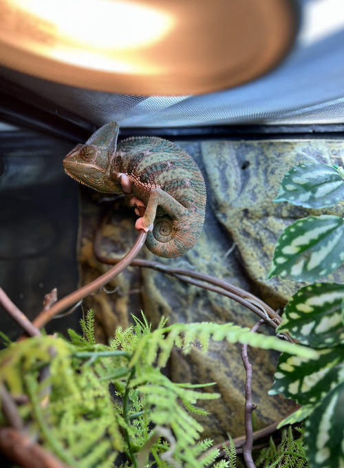 Screenshot 2023-05-30 at 2.09.35 PM.png