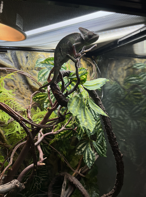 Screenshot 2023-05-30 at 2.10.49 PM.png