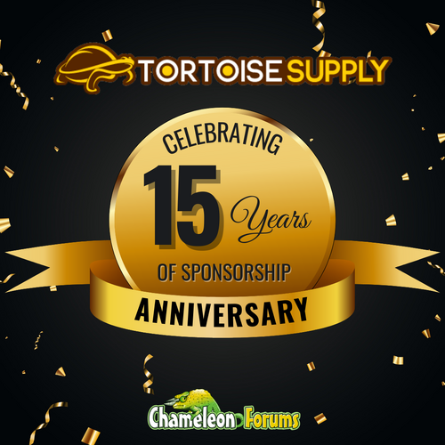 IGTortoise Supply 15 year Anniversary 6 .png