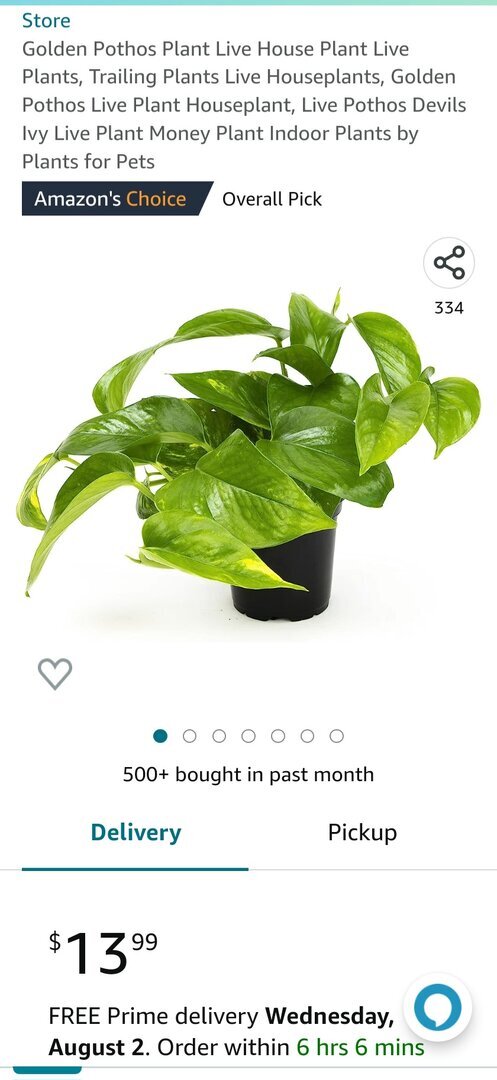 Screenshot_20230727_175346_Amazon Shopping.jpg