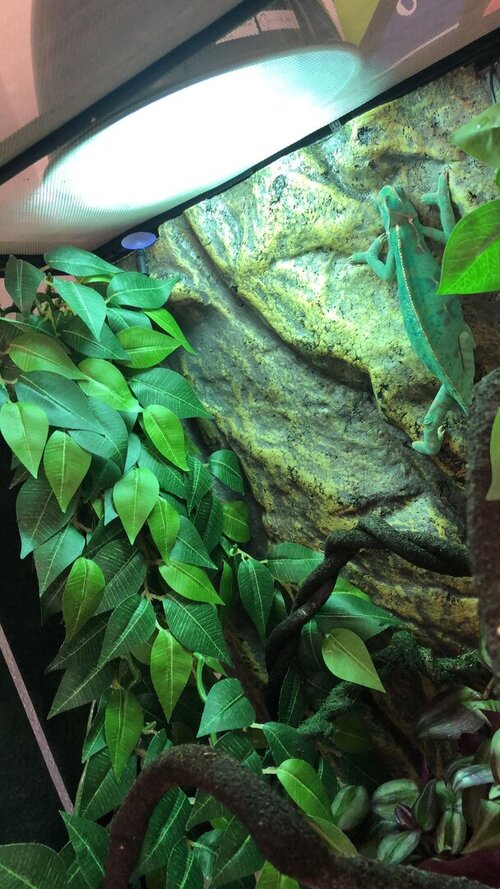 WhatsApp Image 2023-07-30 at 12.51.49.jpeg