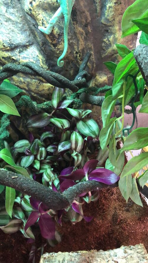 WhatsApp Image 2023-07-30 at 12.51.42.jpeg