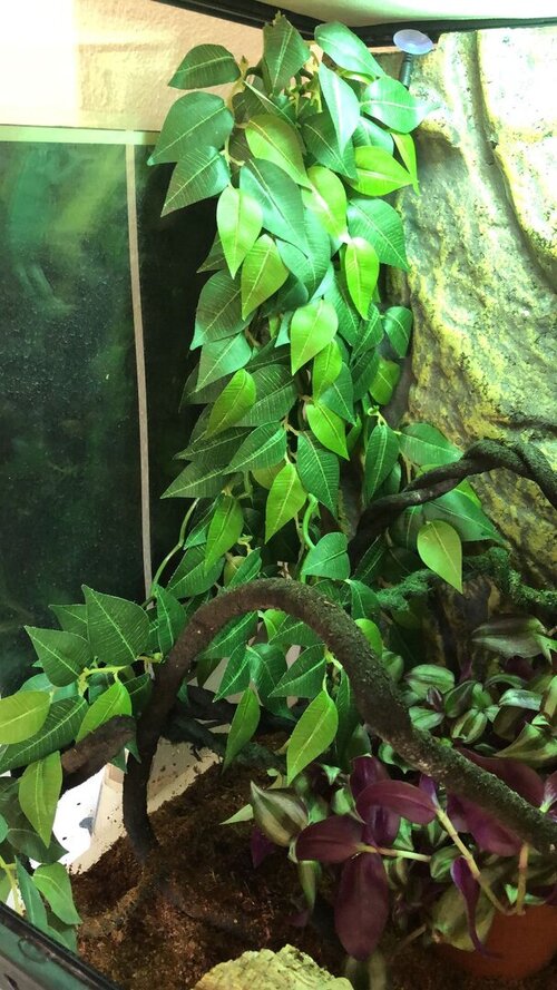 WhatsApp Image 2023-07-30 at 12.51.27.jpeg