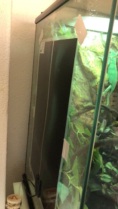 WhatsApp Image 2023-07-30 at 12.51.14.jpeg