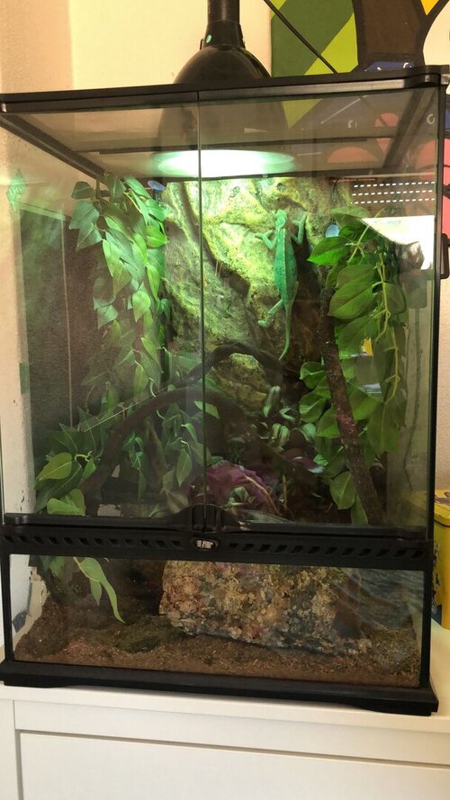 WhatsApp Image 2023-07-30 at 12.50.56.jpeg