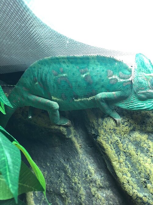 WhatsApp Image 2023-07-30 at 17.02.27.jpeg