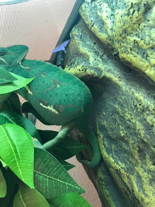 WhatsApp Image 2023-07-30 at 17.02.26 (1).jpeg