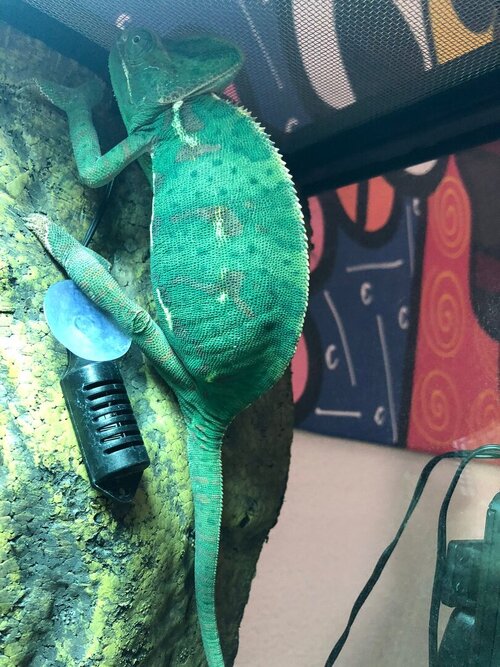 WhatsApp Image 2023-07-30 at 17.02.25 (1).jpeg