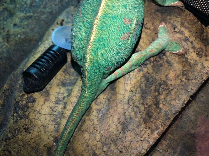 WhatsApp Image 2023-07-30 at 17.02.24.jpeg