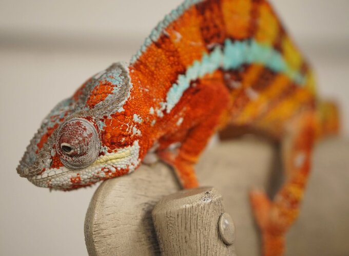 Dude fired 8 23 copy small.jpg