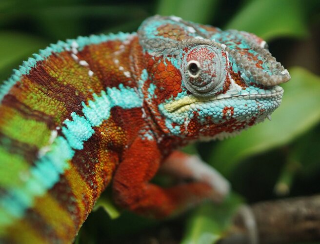 Dude face close 8 23 small.jpg