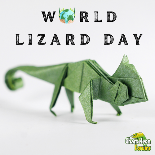 world Lizard day 81423 (Instagram Post (Square)).png