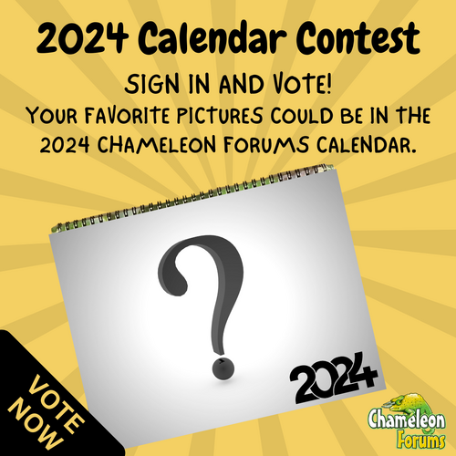 2024 CALENDAR VOTE.png