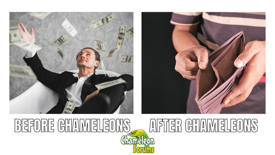 Before Chameleons after chameleons meme.png