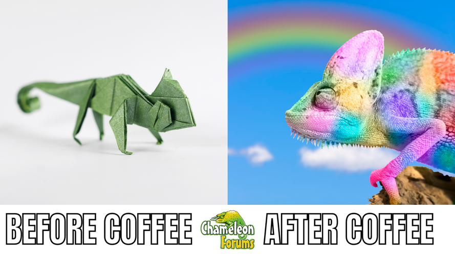Before Coffee After Coffee Two Photos And Text Meme.png