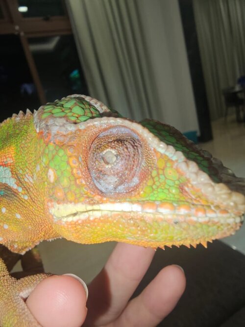 WhatsApp Image 2023-10-04 at 16.24.44 (1).jpeg