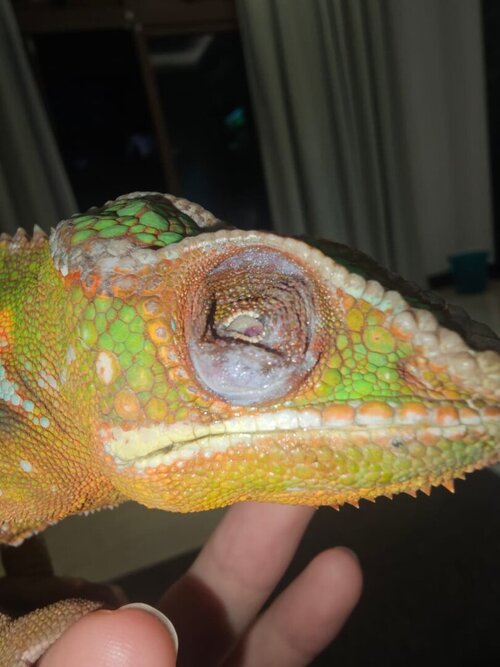 WhatsApp Image 2023-10-04 at 16.24.44.jpeg