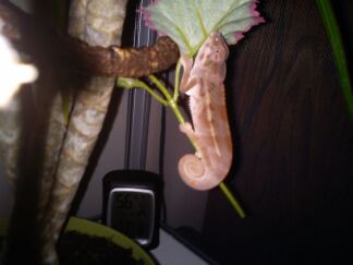 IMG_20111114_225410.jpg