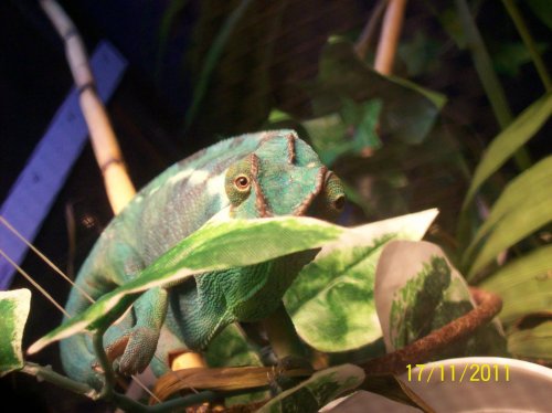 102_0722.jpg