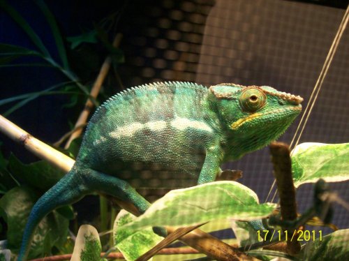 102_0727.jpg