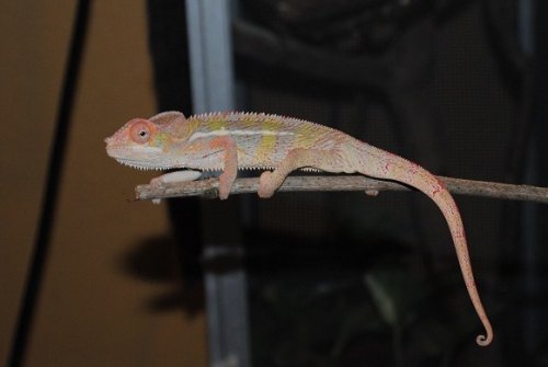 DSC_0030.JPG