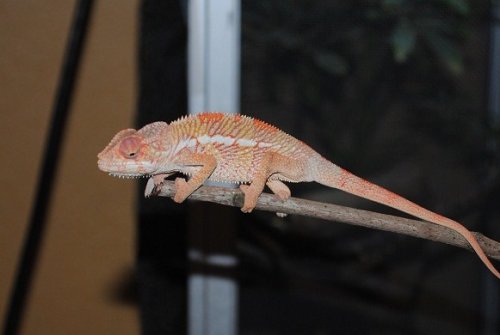 DSC_0067.JPG