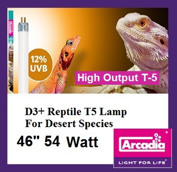 d3 pluspic54.jpg