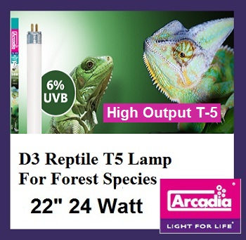 d3t5_linearlampd24.jpg