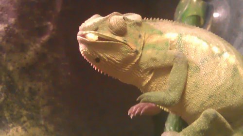IMAG0231.jpg