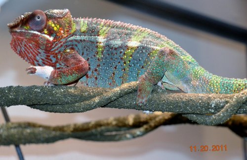 DSC_1041.jpg