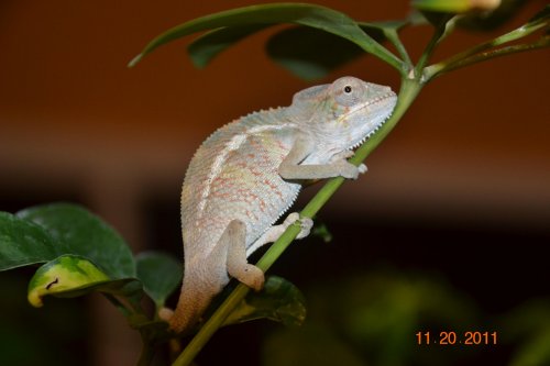 DSC_1045.jpg