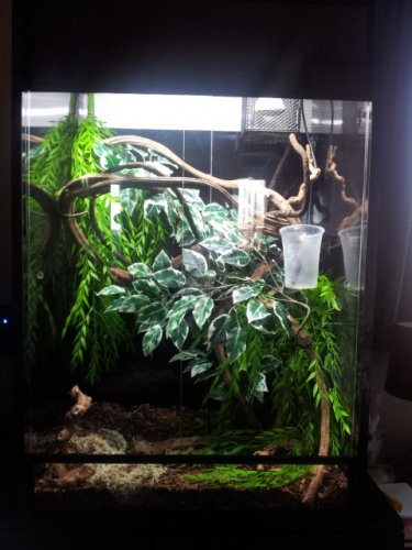 2011-11-18 14.02.58.jpg