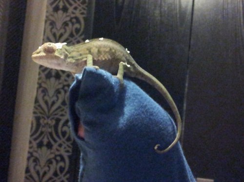 2011-11-15 21.35.36.jpg