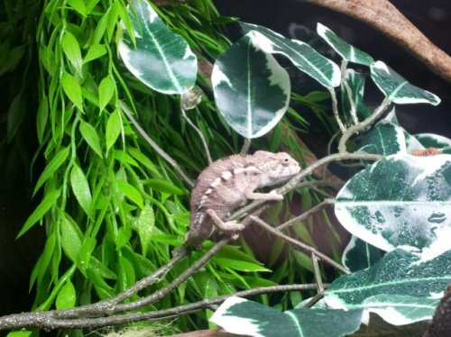 2011-11-20 12.57.06.jpg