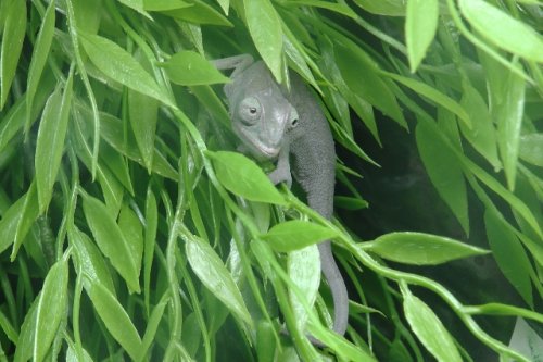 S1500002 (640x427).jpg