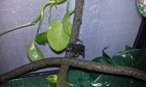IMAG0689.jpg