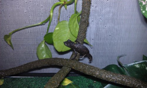 IMAG0690.jpg