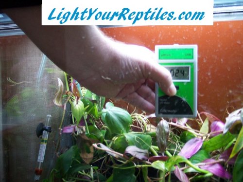 uv levels in growout tank 1.jpg