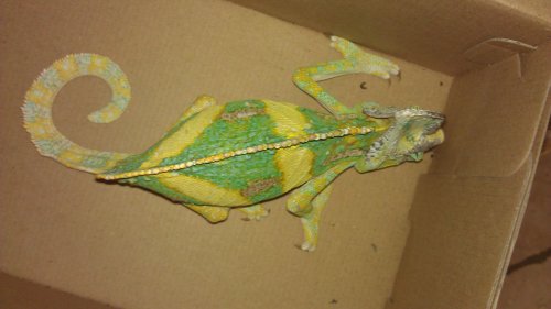 IMAG0037.jpg