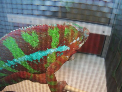 101_1581 (Large).JPG