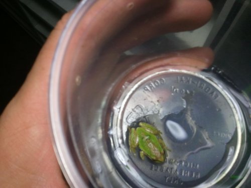 2011-11-29 13.21.38.jpg