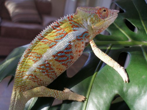 P1010096 [1600x1200].jpg