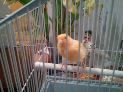 2011-11-29 19.40.43.jpg